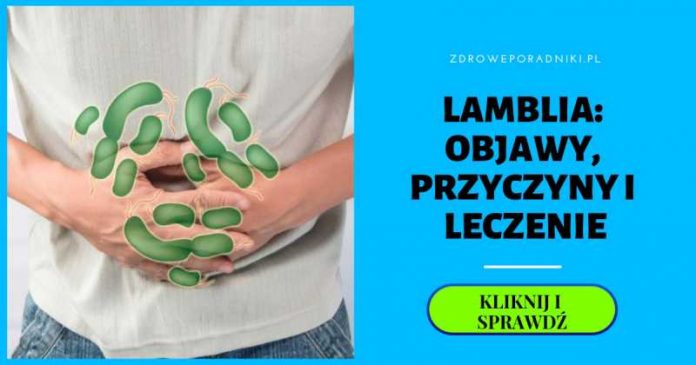 Giardia Lamblia Objawy Przyczyny Rozpoznanie I Leczenie