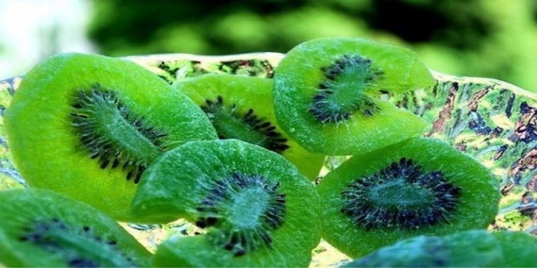 kiwi