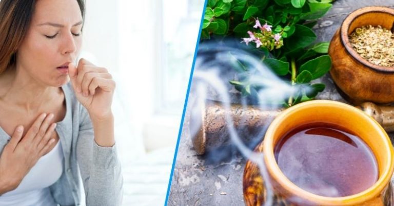 herbata oregano kaszel