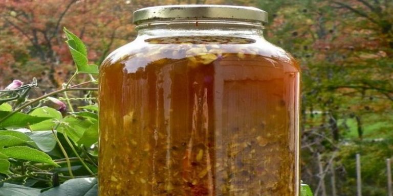 naturalny antybiotyk