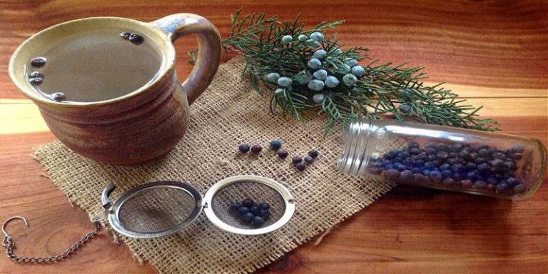 jagody jałowca naturalna insulina