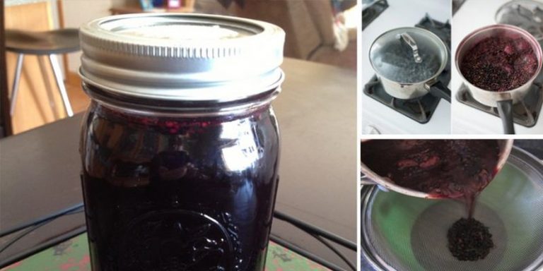 syrop z czarnego bzu