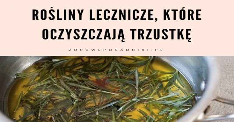 Rośliny lecznicze które oczyszczają trzustkę