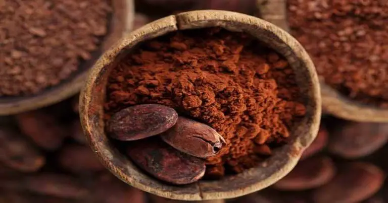 22 sprawdzone korzyści zdrowotne wynikające z kakao