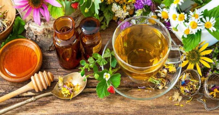 zioła na odchudzanie