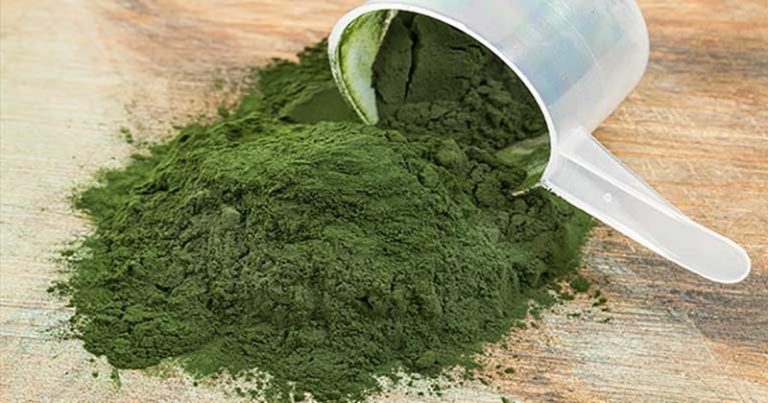 spirulina w proszku