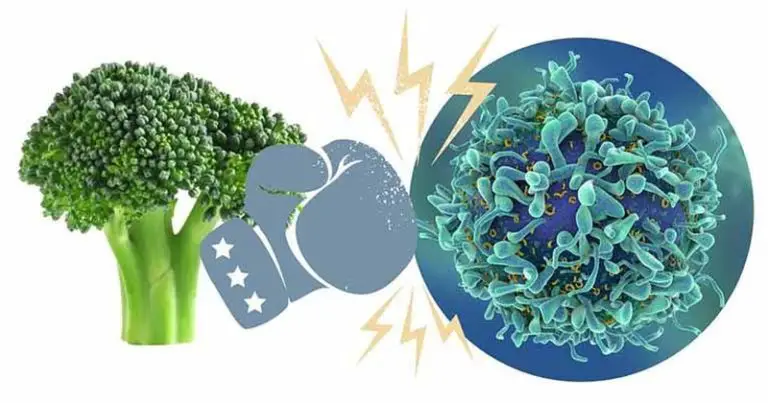 Jak jeść brokuły, aby wykorzystać ich właściwości przeciwnowotworowe?