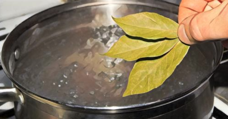 ilekroc-mialam-duszacy-kaszel,-moja-babcia-gotowala-lisc-laurowy-z-cukrem:-nawet-po-latach-ten-przepis-sie-sprawdza.