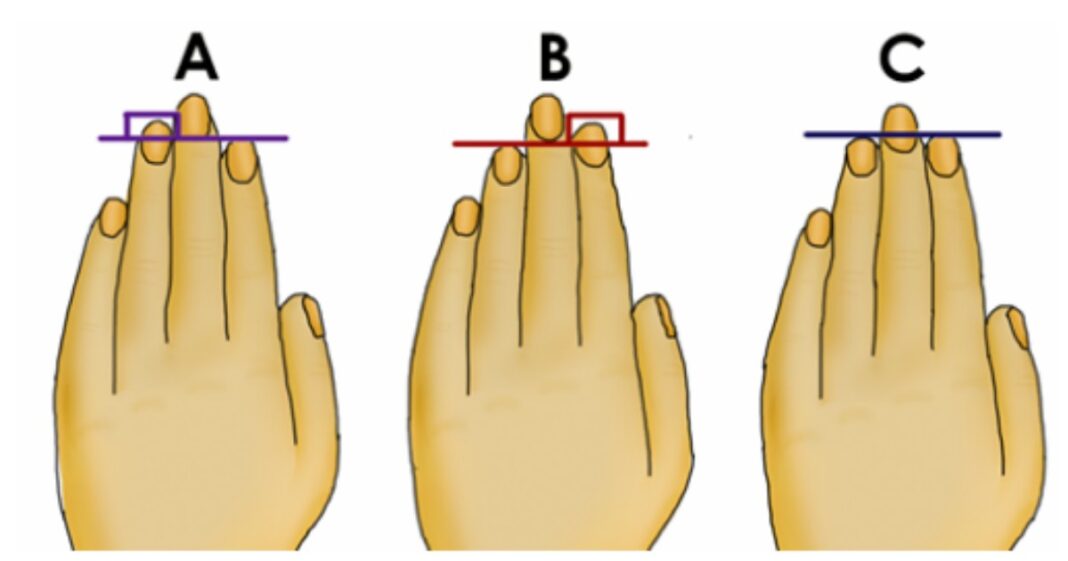 długość palców
