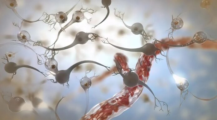 dziwne neurony