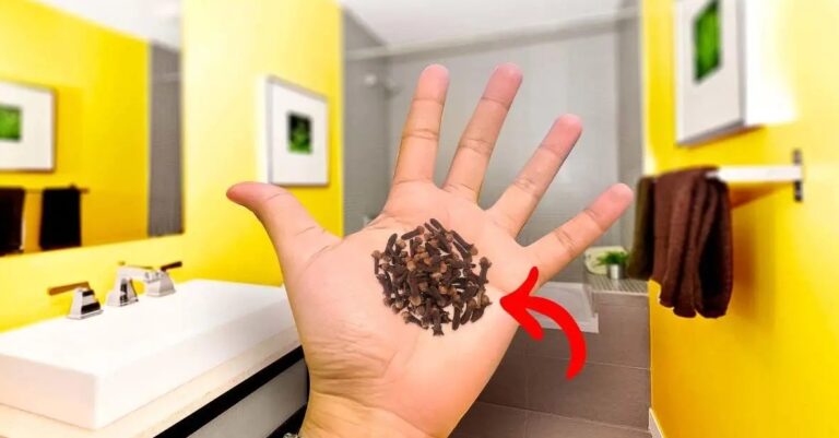 goździki w łazience