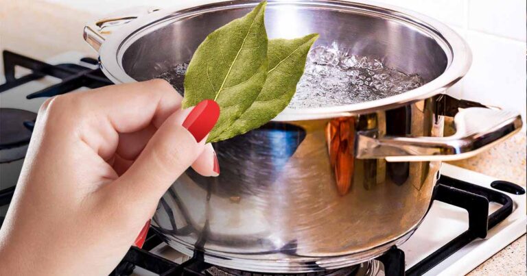 gotowane liście laurowe