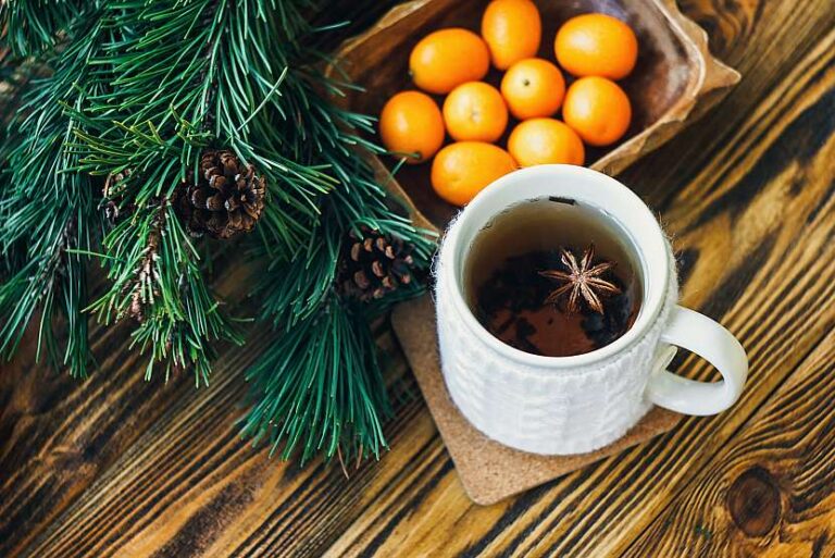 herbata z igieł sosny