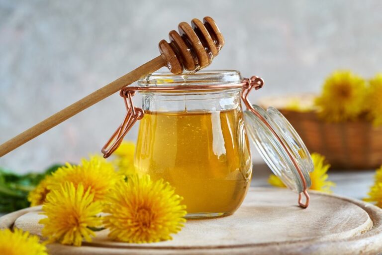 Miód z mniszka
