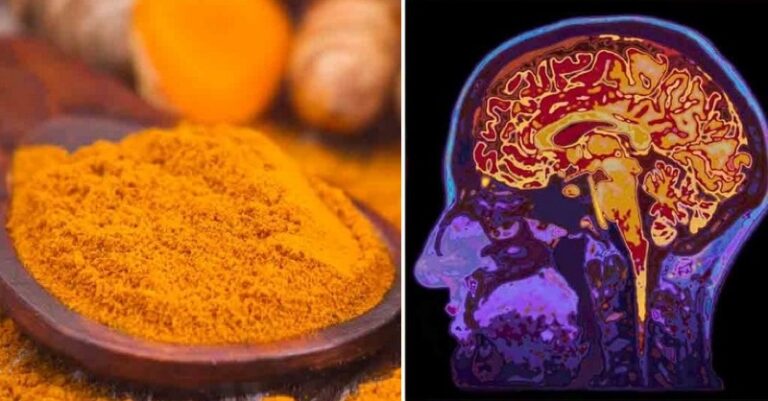 Cudowne zioło, które regeneruje mózg