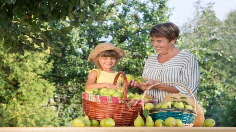 5 właściwości zdrowotnych gruszek