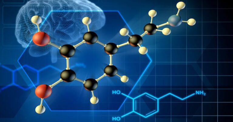 hormony odpowiedzialne za spalanie i magazynowanie tłuszczu