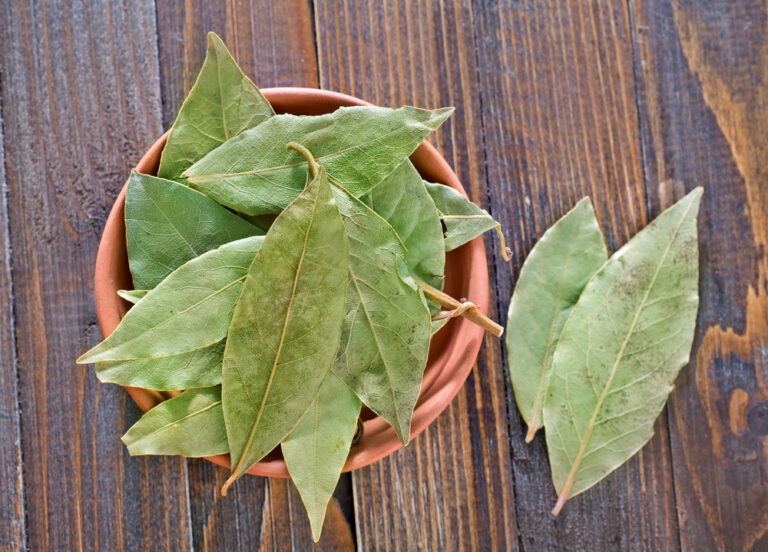 konec-vsem-zanetum-a-artritide,-lehce-se-daji-znicit-za-pomoci-koreni,-ktere-ma-doma-kazdy.-bolesti-kloubu-maji-smulu,-s-timto-domacim-lekem-si-na-nas-uz-neprijdou