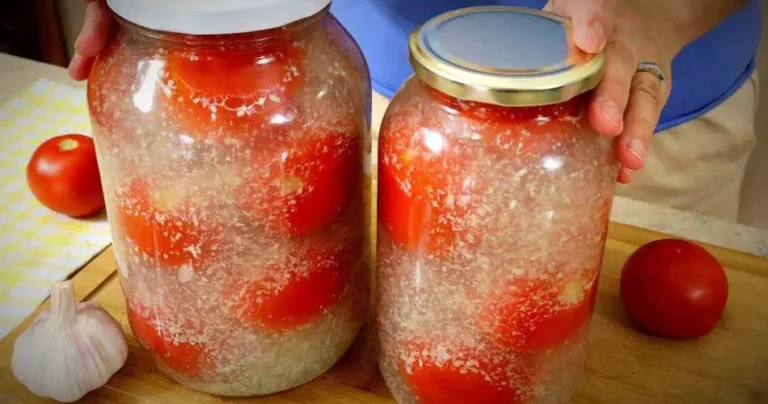 Jak przechowywać pomidory, aby zachowały świeżość przez długi czas? Odkryj sprawdzone metody!