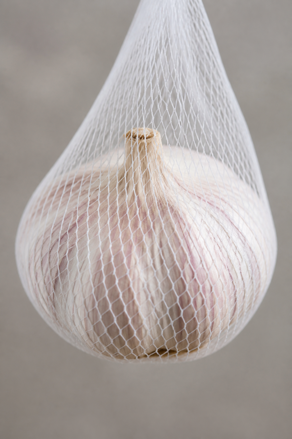 closeup of single garlic bulb in ventilated mesh bag